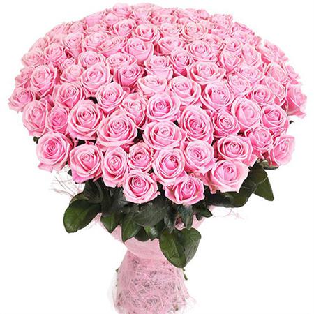 Букет 101 нежно-розовая роза «Лав Анлимитед»