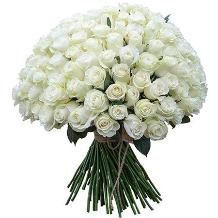151 белая роза (40 см)