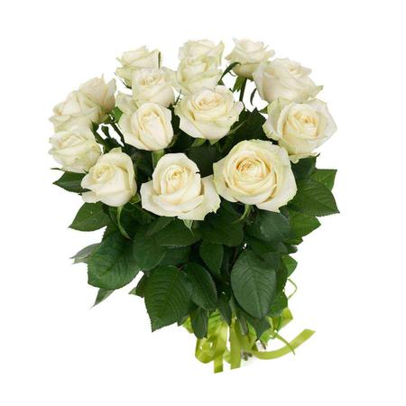 15 белых роз (50 см)